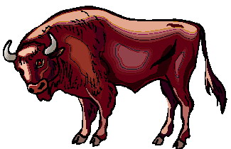 Buffaloes clip art