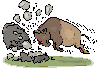 Buffaloes clip art