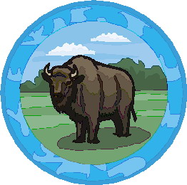 Buffaloes clip art