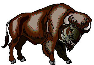 Buffaloes clip art