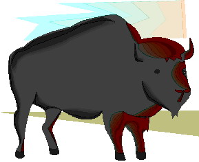 Buffaloes clip art