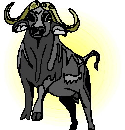 Buffaloes clip art