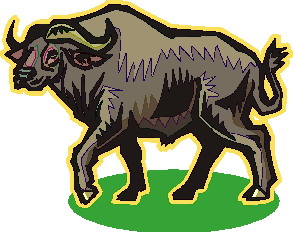 Buffaloes clip art