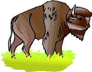 Buffaloes clip art