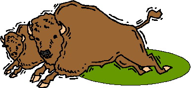 Buffaloes clip art