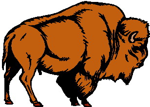 Buffaloes clip art