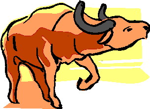 Buffaloes clip art