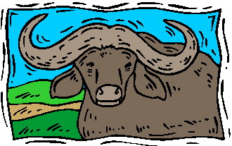 Buffaloes clip art