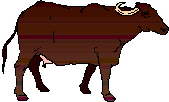 Buffaloes clip art