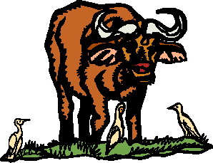 Buffaloes clip art