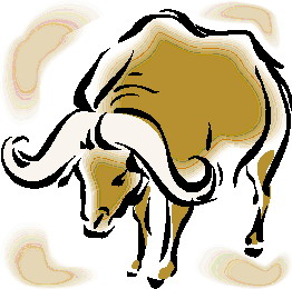 Buffaloes clip art