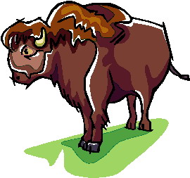 Buffaloes clip art