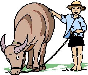 Buffaloes clip art