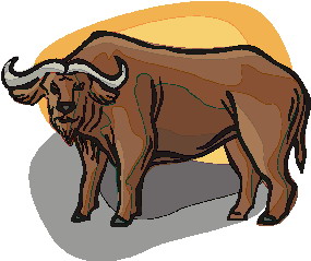 Buffaloes clip art