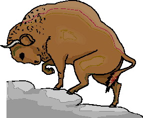 Buffaloes clip art