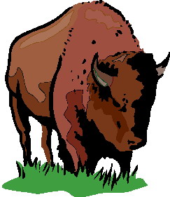 Buffaloes clip art