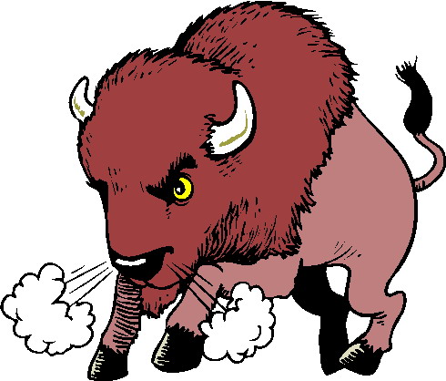 Buffaloes clip art