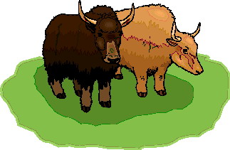 Buffaloes clip art