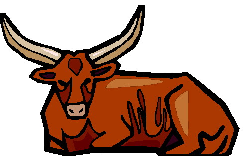 Bulls clip art