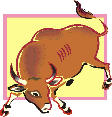 Bulls clip art