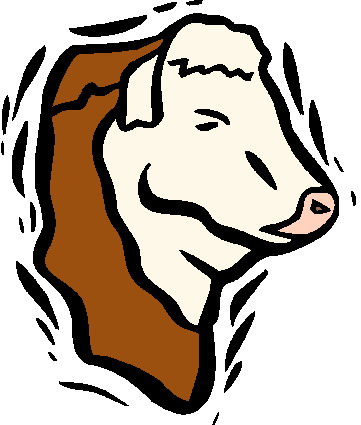 Bulls clip art