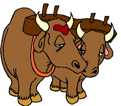 Bulls clip art