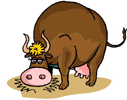 Bulls clip art