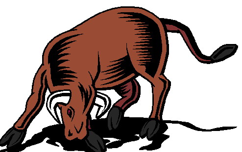 Bulls clip art