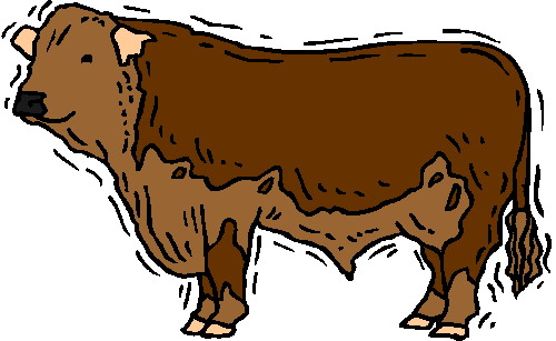 Bulls clip art