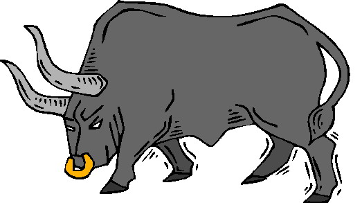 Bulls clip art