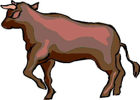 Bulls clip art