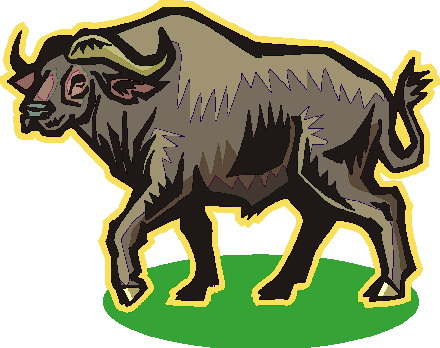 Bulls clip art