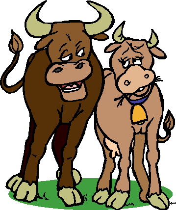 Bulls clip art