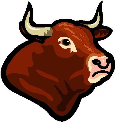 Bulls clip art