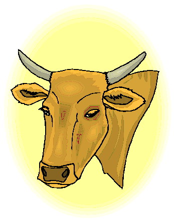 Bulls clip art