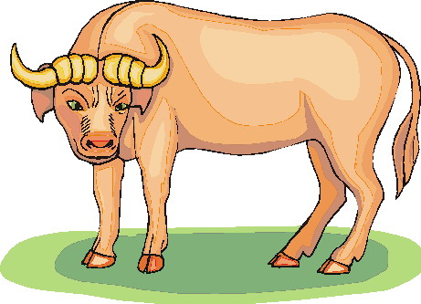 Bulls clip art