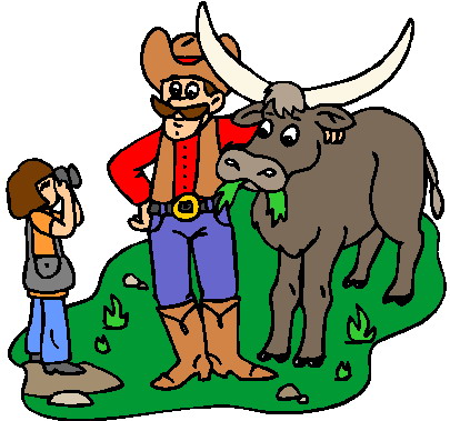 Bulls clip art