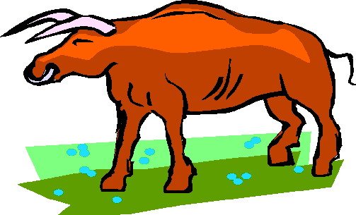 Bulls clip art