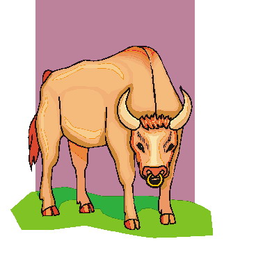 Bulls clip art