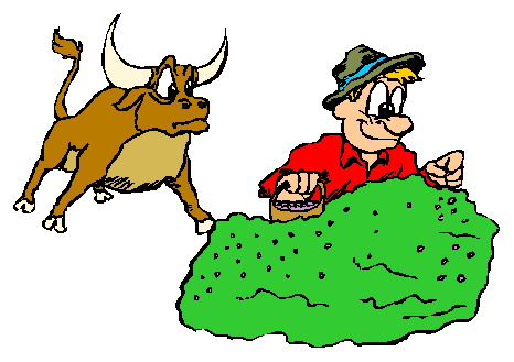 Bulls clip art