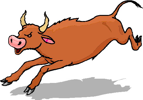 Bulls clip art