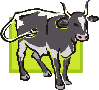 Bulls clip art