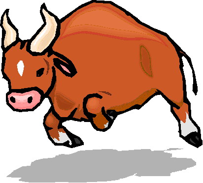 Bulls clip art