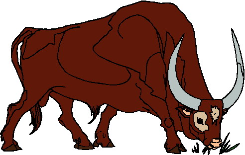 Bulls clip art