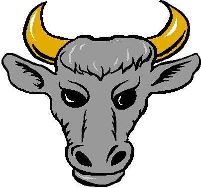 Bulls clip art