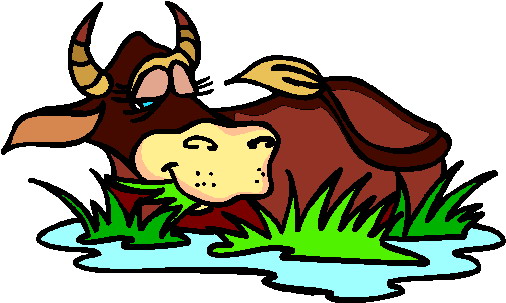 Bulls clip art