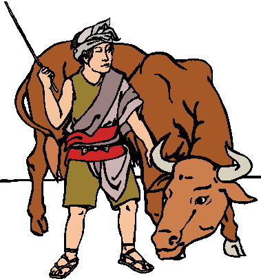 Bulls clip art