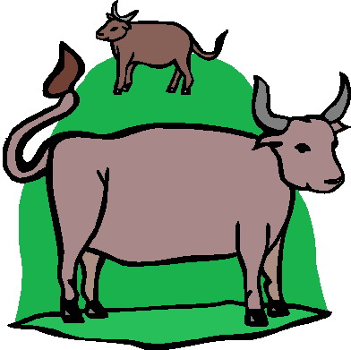 Bulls clip art