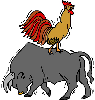 Bulls clip art