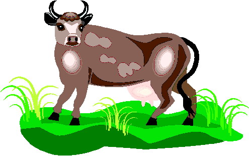 Bulls clip art